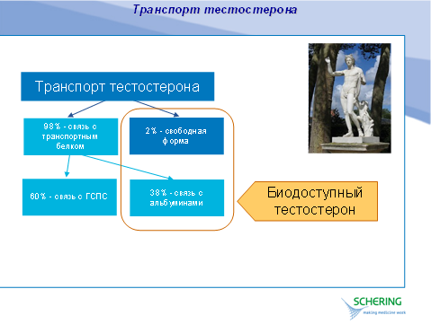 тонгкат применение тонгкат применение