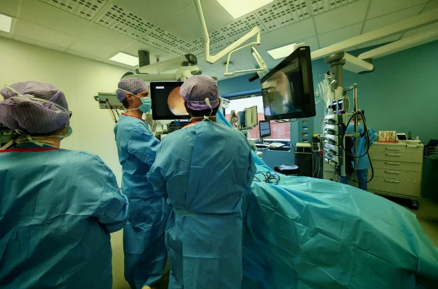 Травматолог-ортопед клиники «Здоровье 365» А.Ф. Кузнецов изучил передовой европейский опыт в ортопедии